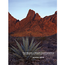 2010 Annual Report cover